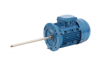無(wú)錫不銹鋼長(zhǎng)軸電機(jī)